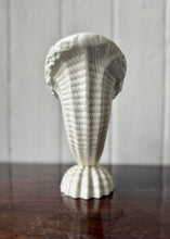 Load image into Gallery viewer, Spode Velamour Cornucopia Shell vase
