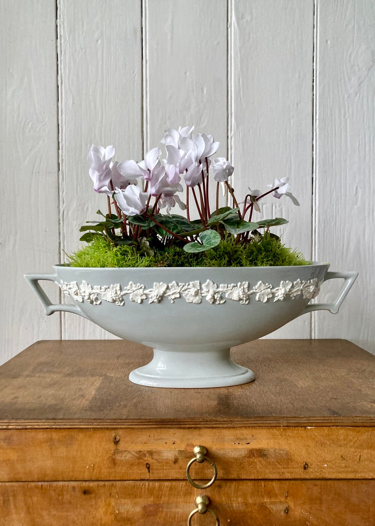 Large Wedgwood Queen's Ware mantle vase in pale grey – The Vintage