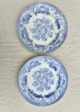 Load image into Gallery viewer, A pair of Asiatic Pheasant plates