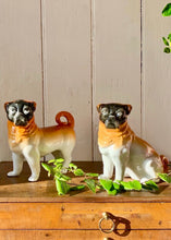 Load image into Gallery viewer, A pair of decorative ceramic pugs