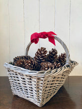 Load image into Gallery viewer, A selection of 5 outsized fir cones