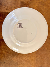 Load image into Gallery viewer, A giant tea cup and saucer in the Chinese Rose pattern by Spode