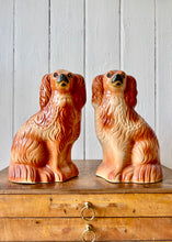 Load image into Gallery viewer, An antique pair of chestnut Staffordshire mantle dogs
