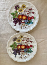 Load image into Gallery viewer, A pair of Copeland Spode Reynolds dinner plates