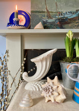 Load image into Gallery viewer, Spode Velamour Cornucopia Shell vase