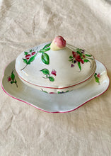 Load image into Gallery viewer, A Luneville French faience tureen