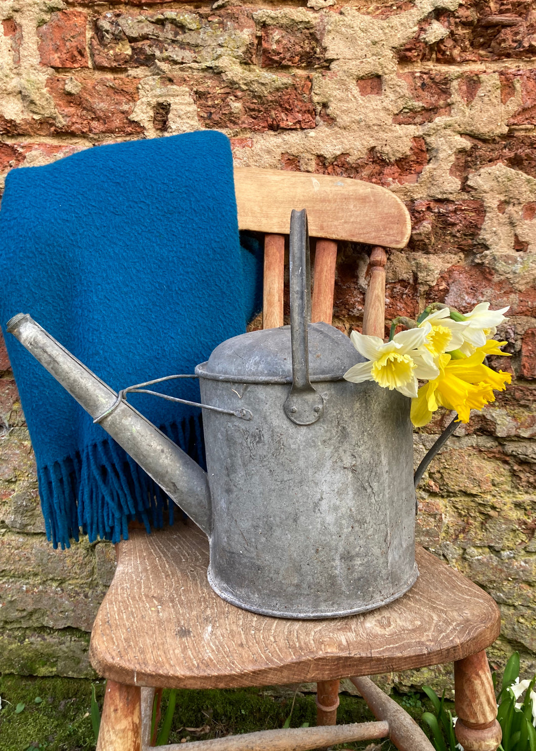 Antique galvanised watering can