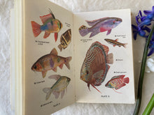 Load image into Gallery viewer, Observer book -  Tropical Fishes

