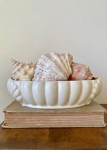 Load image into Gallery viewer, Beswick Ware white mantle vase with scallop shell ends
