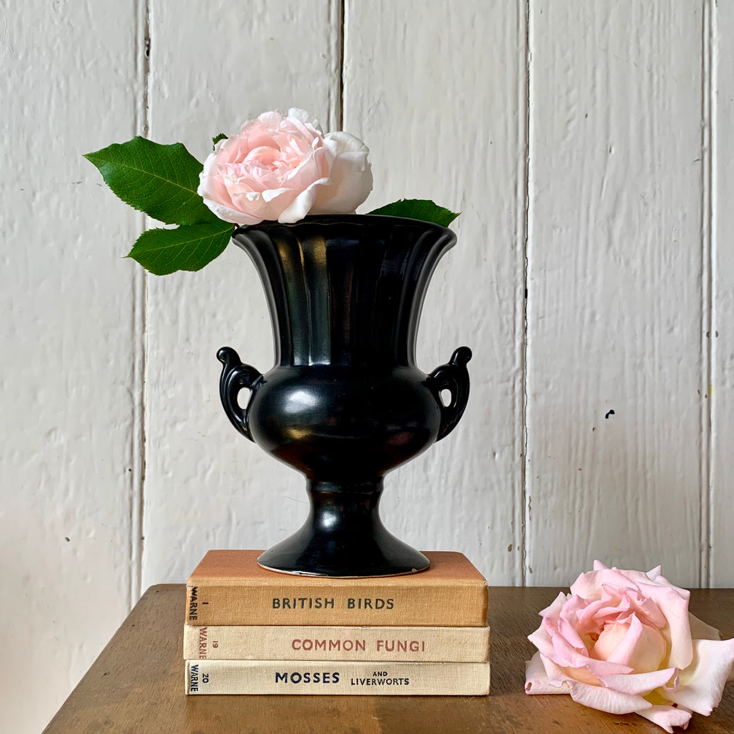 Classical black urn or vase