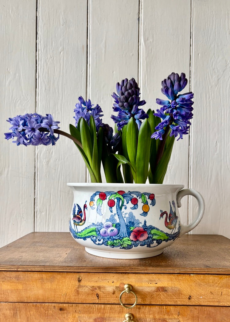 Antique decorative chamber pot/planter by Losol Ware