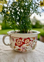 Load image into Gallery viewer, Botanical planter
