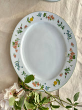 Load image into Gallery viewer, French style majolica soupiere with matching plate
