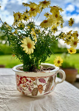 Load image into Gallery viewer, Botanical planter
