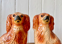 Load image into Gallery viewer, An antique pair of chestnut Staffordshire mantle dogs
