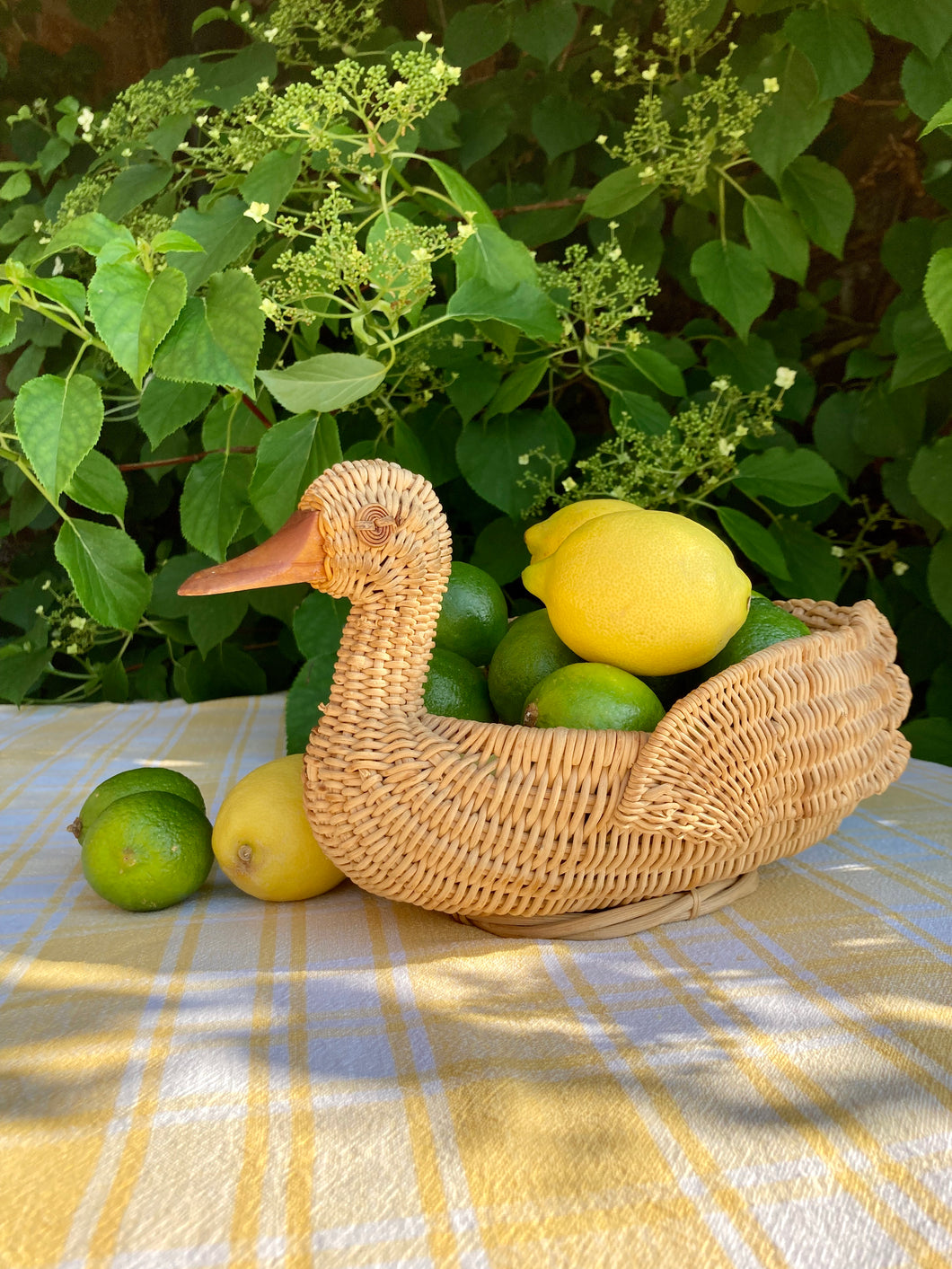 Duck bread/fruit wicker basket for summer dining
