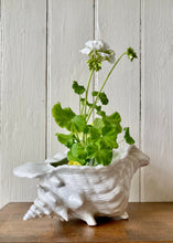 Load image into Gallery viewer, Large white shell vase
