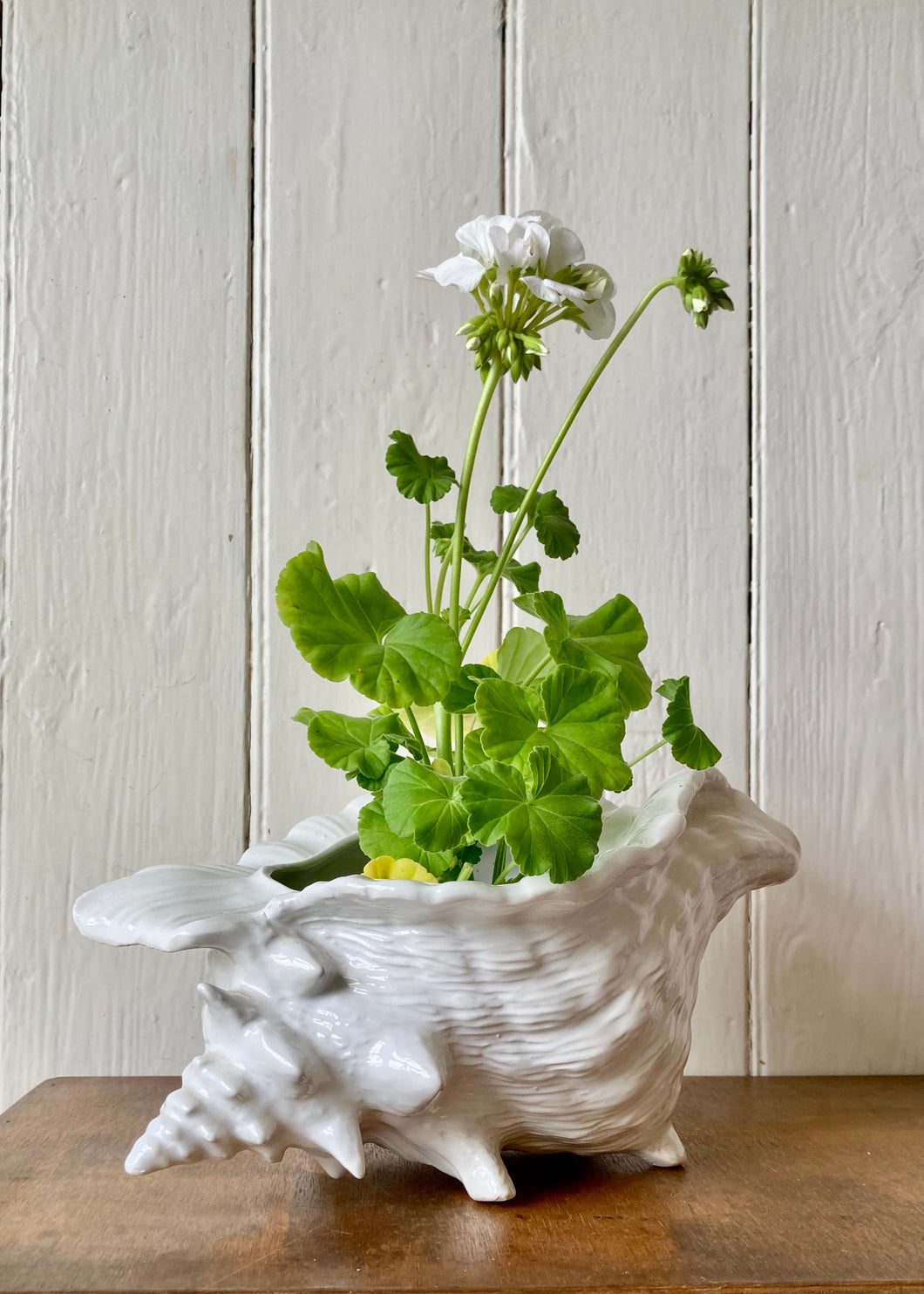 Large white shell vase