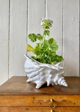 Load image into Gallery viewer, Large white shell vase
