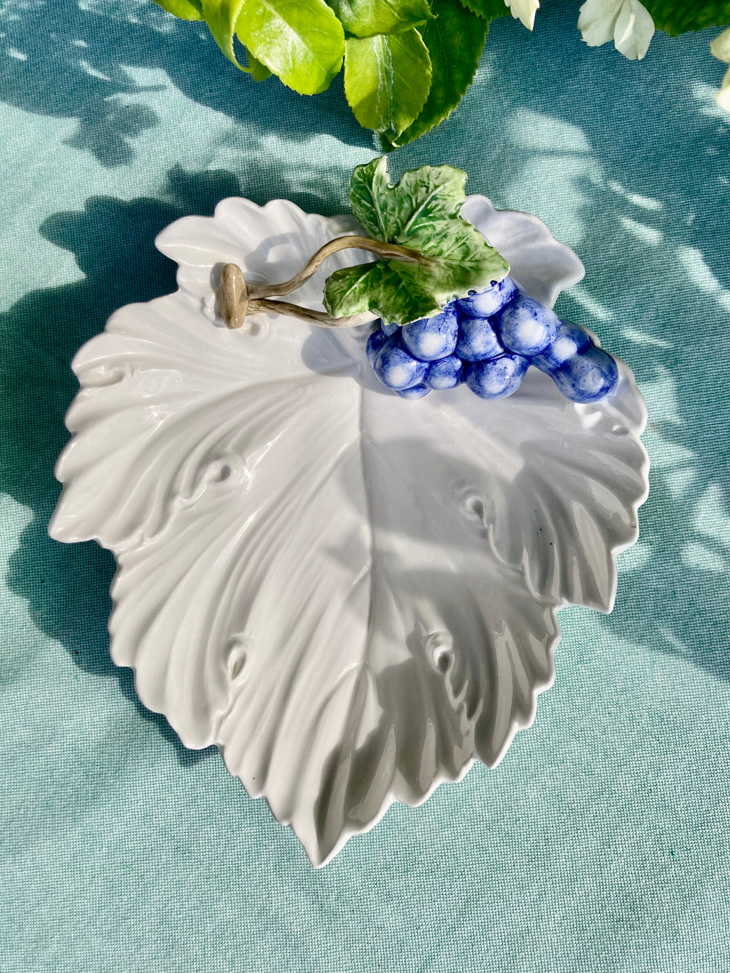 Small white vine leaf Italian dish with grapes