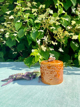 Load image into Gallery viewer, A chestnut coloured honey pot
