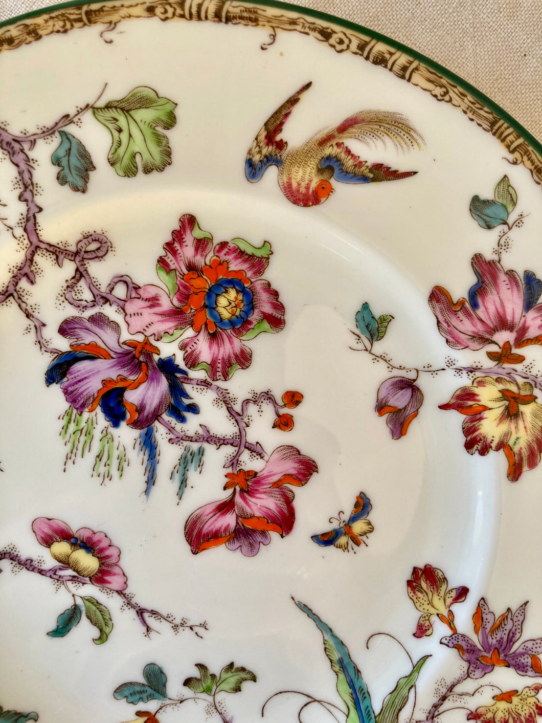 Wedgwood hand painted Devon Rose bone china plate