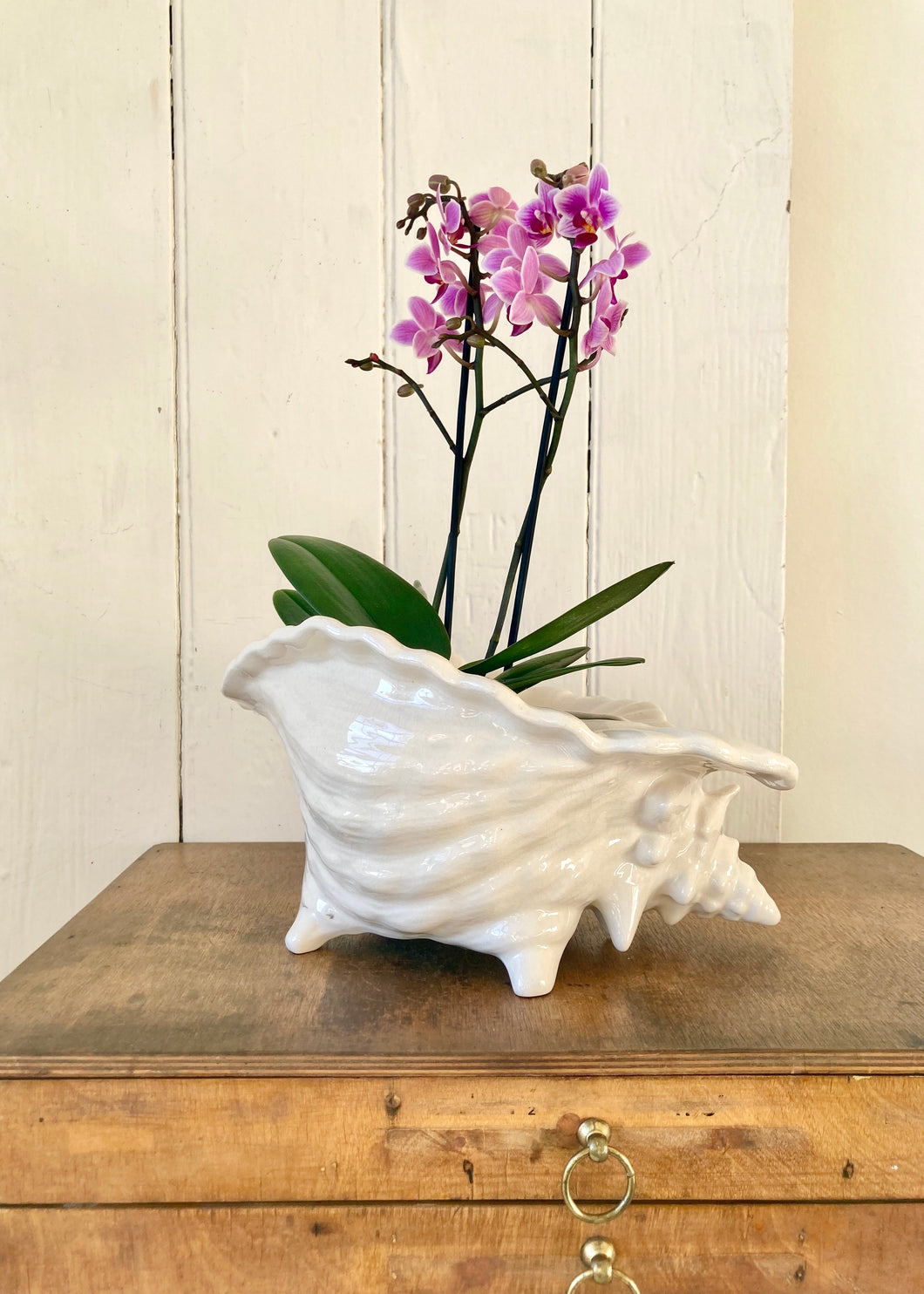 Large white shell vase