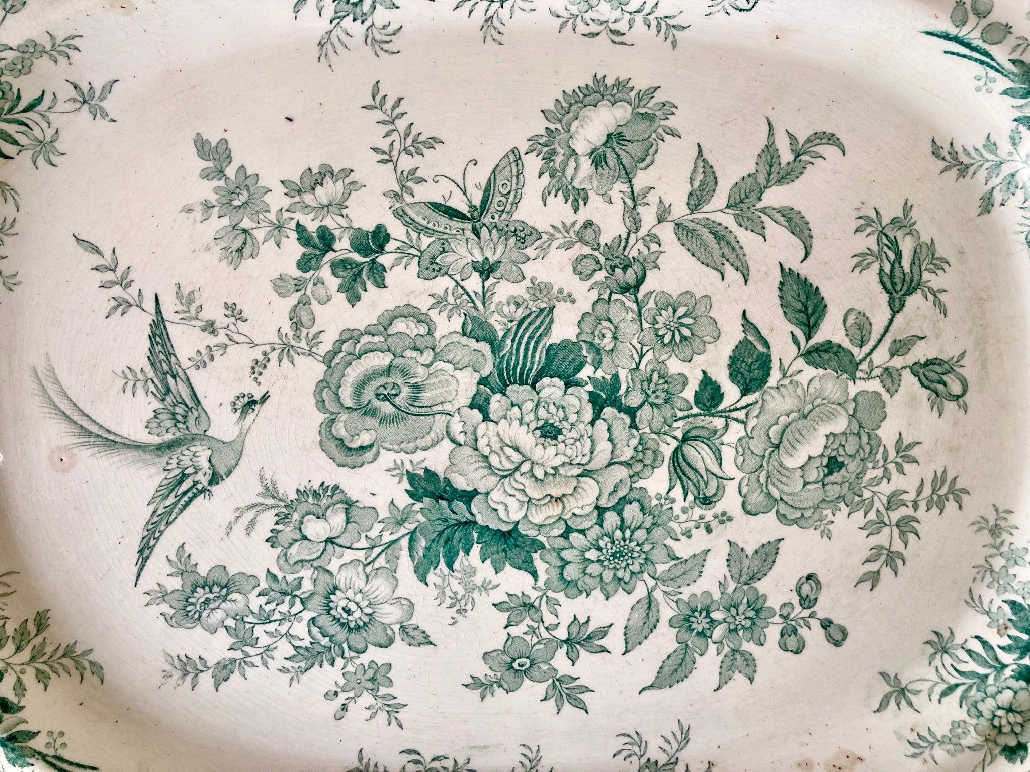 Antique Wedgwood green Asiatic Pheasant serving platter – The
