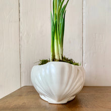Load image into Gallery viewer, Beswick Ware white mantle vase with scallop shell ends
