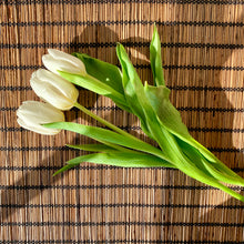 Load image into Gallery viewer, A set of 6 large bamboo placemats
