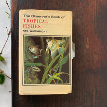 Load image into Gallery viewer, Observer book -  Tropical Fishes
