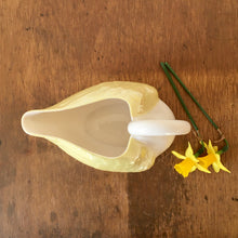 Load image into Gallery viewer, Belleek porcelain lustre swan
