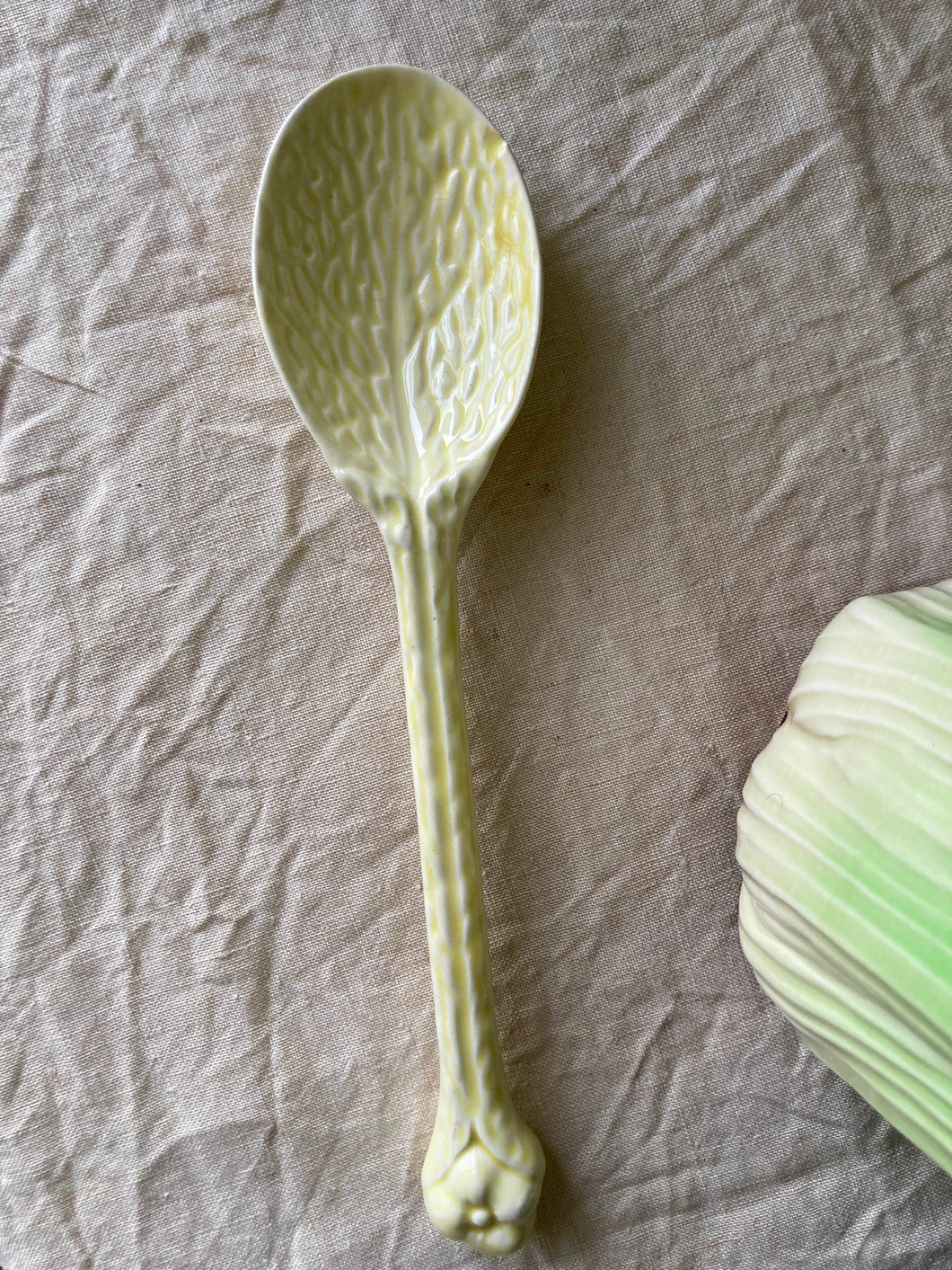 A leafy pale green spoon
