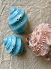Load image into Gallery viewer, A pair of pastel blue salt and pepper shells

