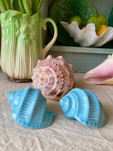 Load image into Gallery viewer, A pair of pastel blue salt and pepper shells
