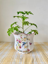 Load image into Gallery viewer, Beautiful botanical planter by Allen Meeson, Stoke on Trent
