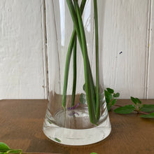 Load image into Gallery viewer, Tall glass vase
