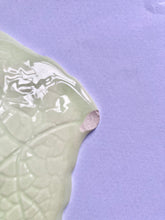 Load image into Gallery viewer, Carlton Ware hand painted leaf and dog rose dish
