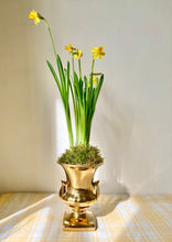 Load image into Gallery viewer, Classical style gold china urn or vase
